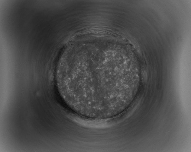 X0000086730032200705111624
