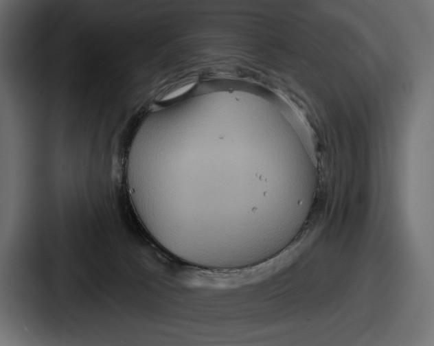 X0000086730033200705111624
