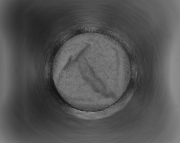 X0000086730034200705111624