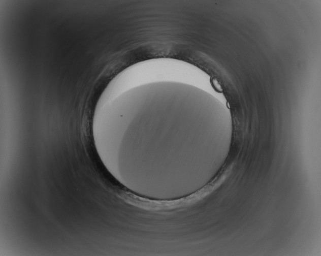 X0000086730035200705111624
