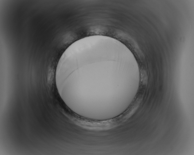 X0000086730036200705111624