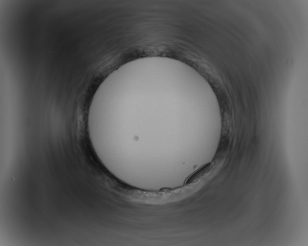 X0000086730037200705111624