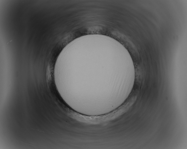 X0000086730038200705111624