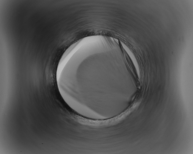 X0000086730039200705111624