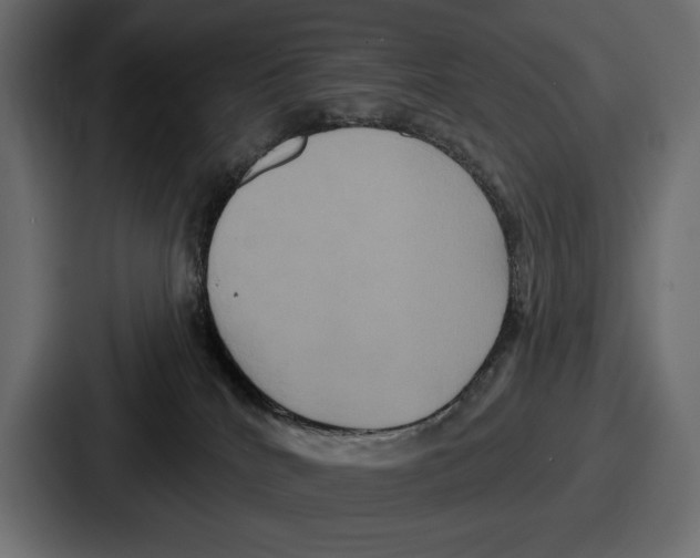 X0000086730040200705111624