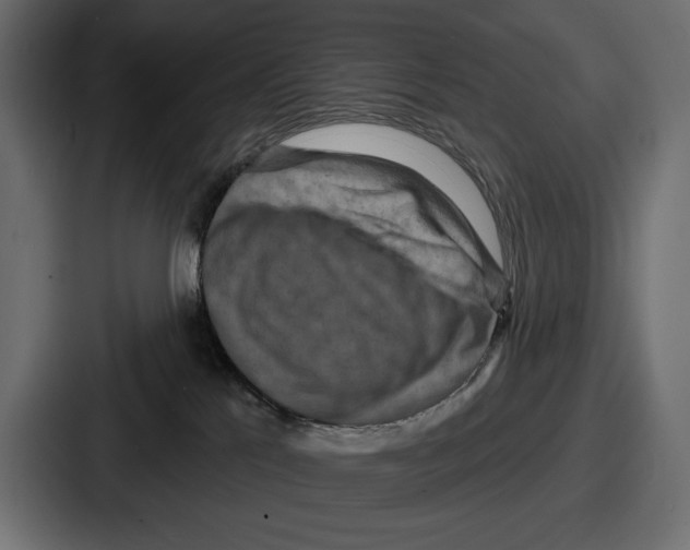 X0000086730041200705111624