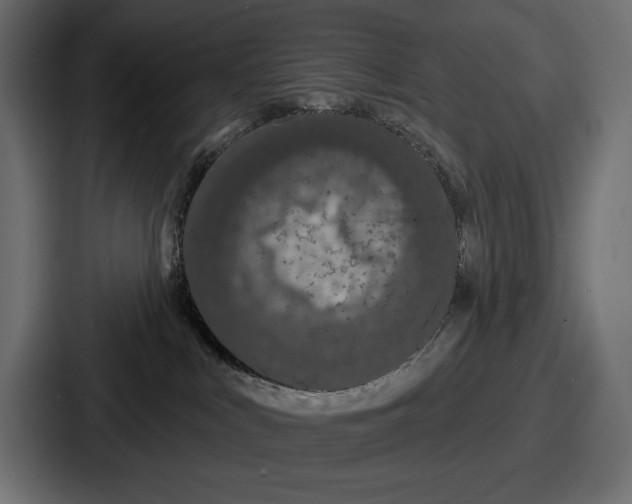 X0000086730043200705111624