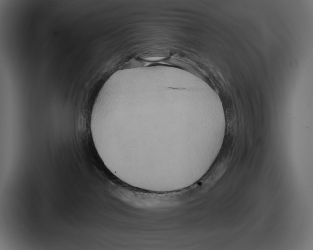 X0000086730044200705111624