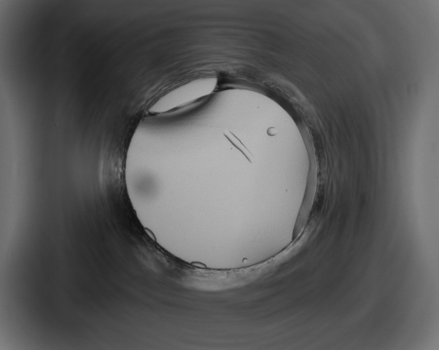 X0000086730045200705111624