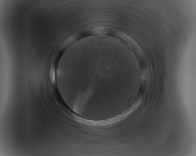 X0000086730046200705111624