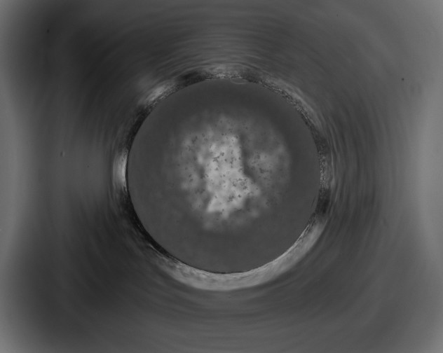 X0000086730047200705111624