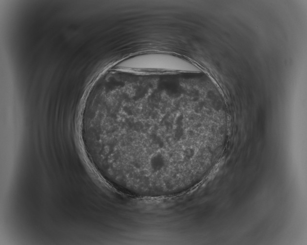 X0000086730049200705111623