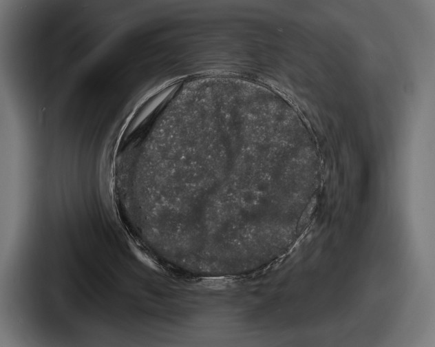 X0000086730050200705111623