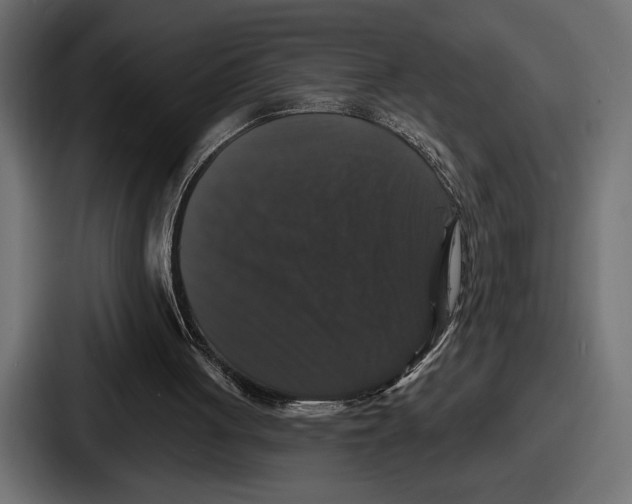 X0000086730051200705111623