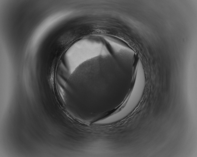 X0000086730052200705111623