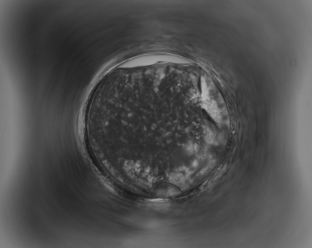 X0000086730053200705111623