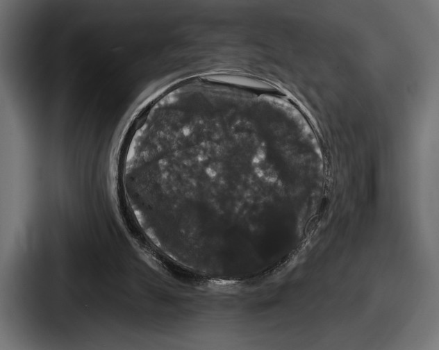 X0000086730055200705111623