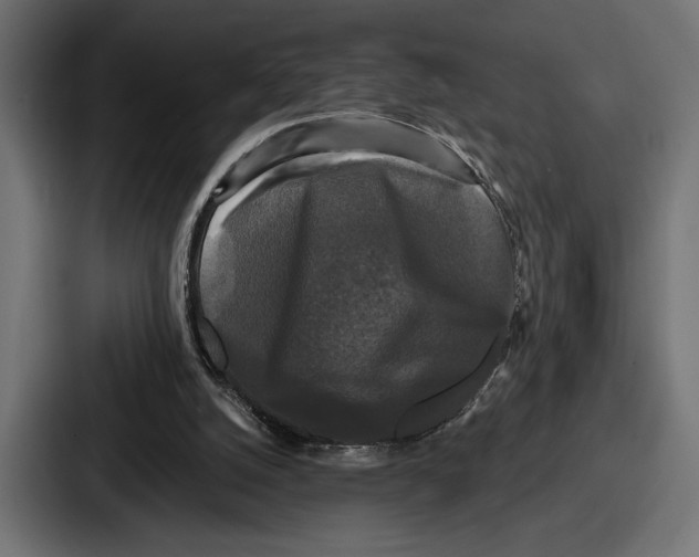 X0000086730056200705111623