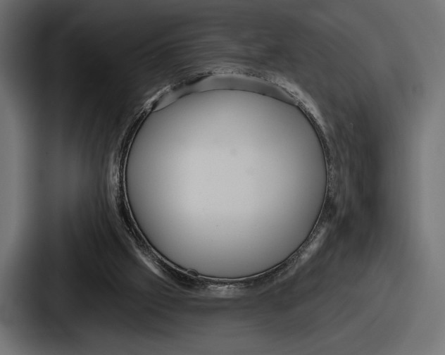 X0000086730057200705111623