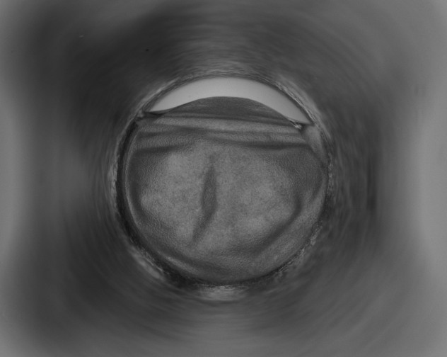 X0000086730058200705111623