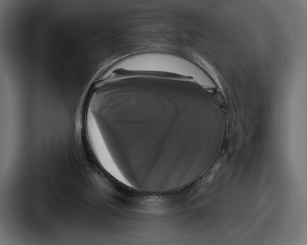 X0000086730059200705111623