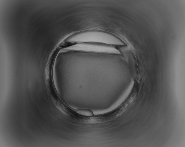 X0000086730060200705111623