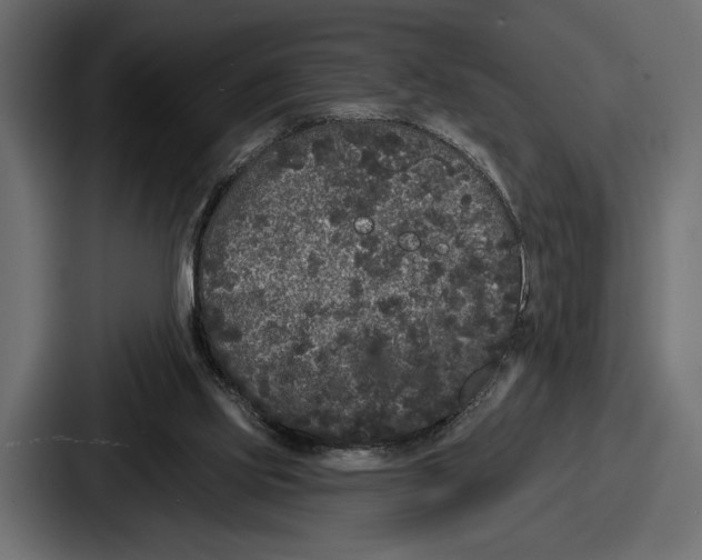 X0000086730061200705111623