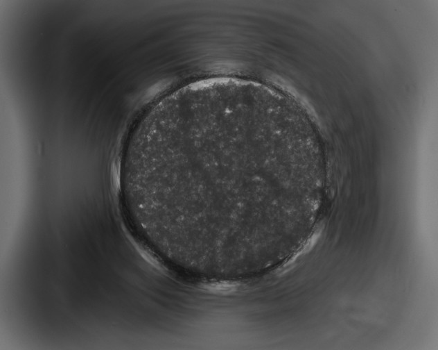 X0000086730062200705111623