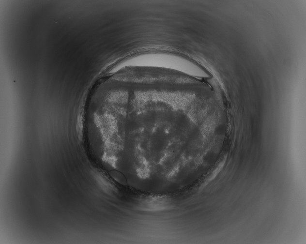 X0000086730063200705111623