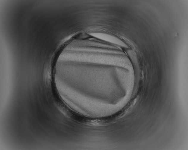X0000086730064200705111623