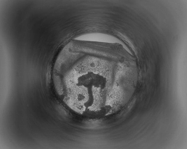 X0000086730065200705111623