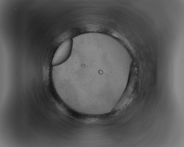 X0000086730066200705111623