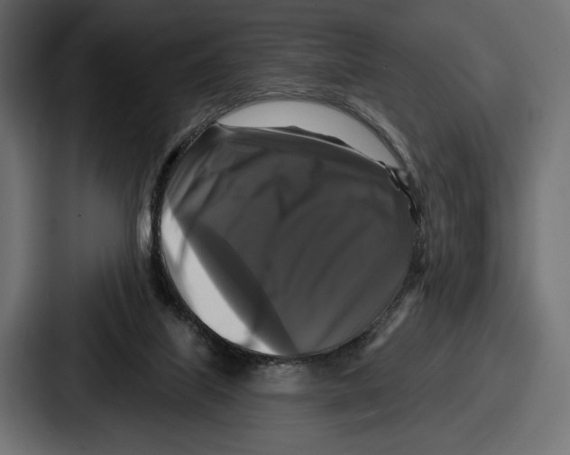 X0000086730067200705111623