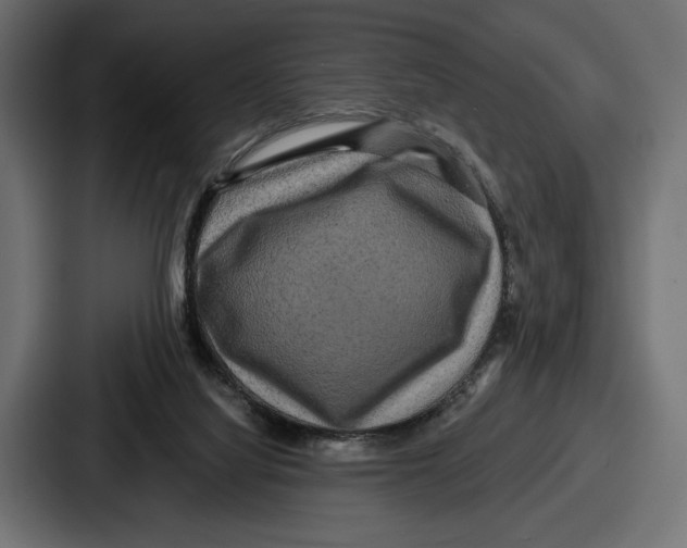 X0000086730068200705111623