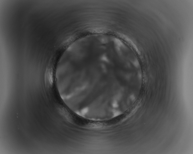 X0000086730069200705111623