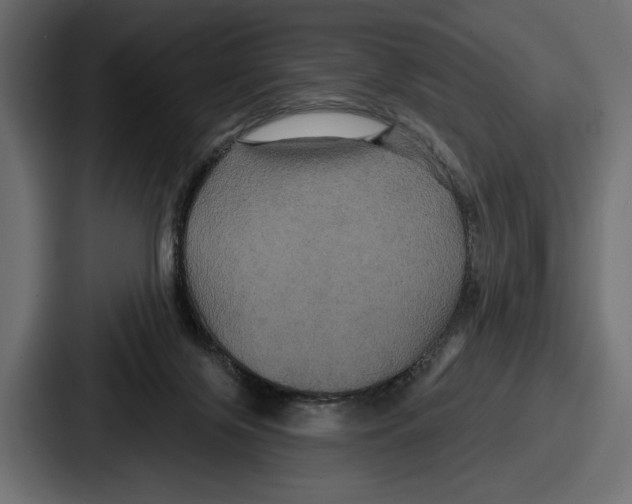 X0000086730071200705111623