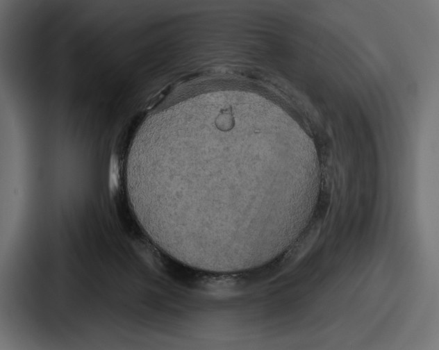 X0000086730075200705111623