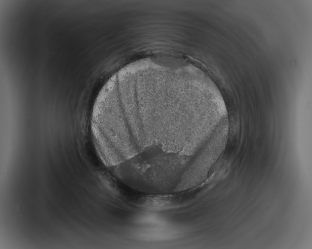 X0000086730078200705111623