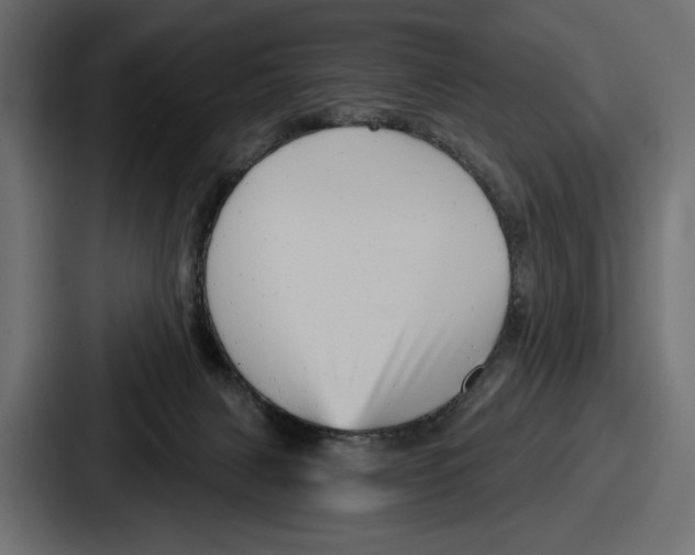 X0000086730079200705111623