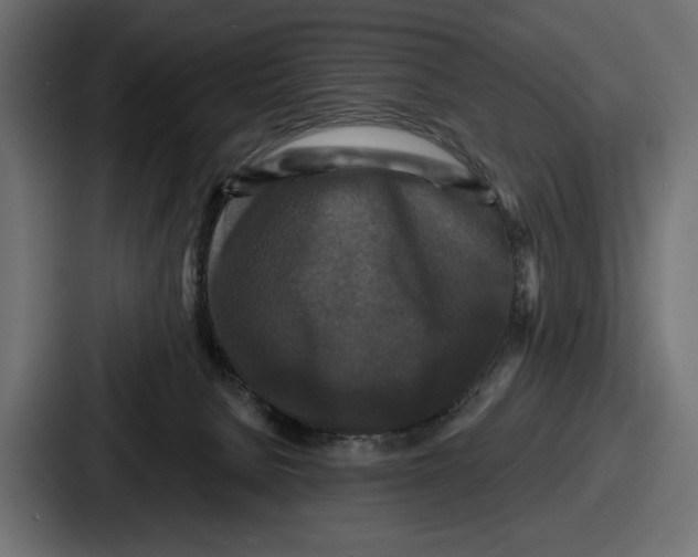 X0000086730080200705111623