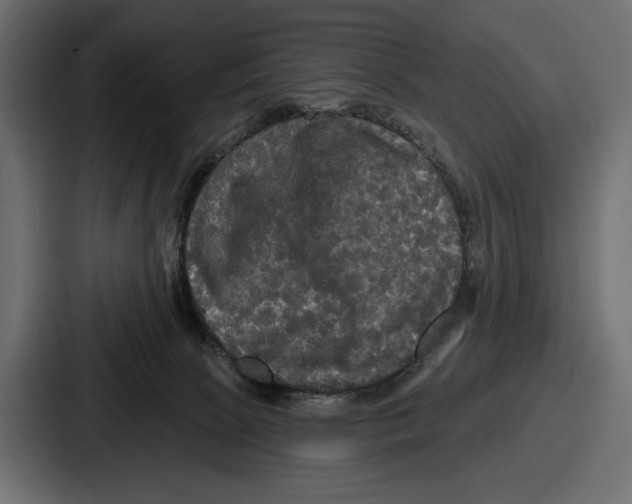 X0000086730081200705111623