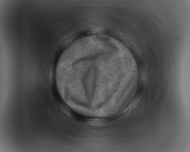 X0000086730082200705111623