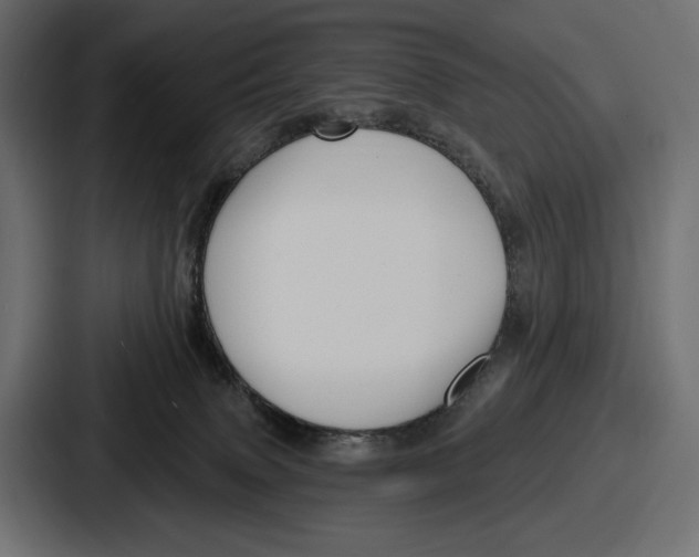 X0000086730083200705111623