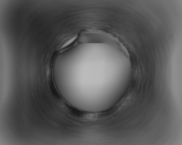 X0000086730084200705111623