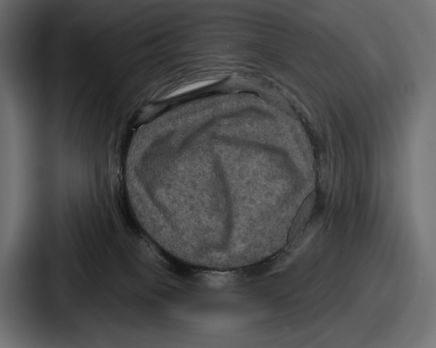 X0000086730085200705111623