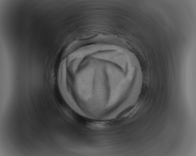 X0000086730086200705111623
