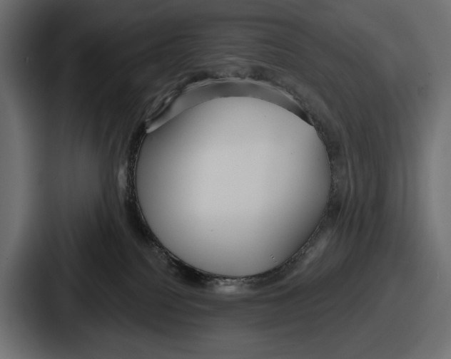 X0000086730088200705111623