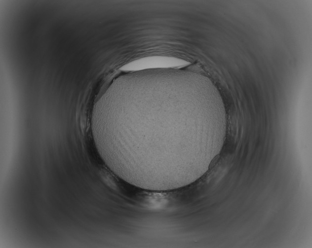 X0000086730091200705111623