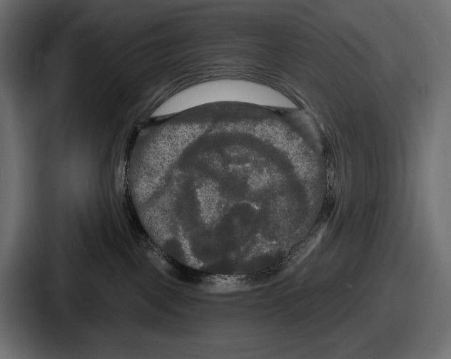 X0000086730093200705111623