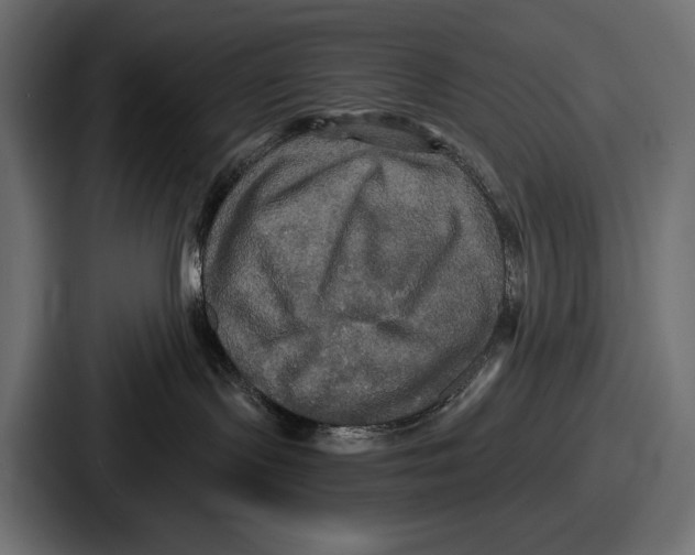 X0000086730095200705111623